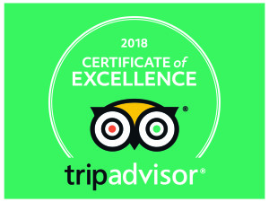 2018_tripadvisorCOE